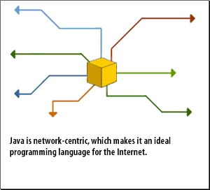  Java is network-centric, which makes it an ideal programming language for the internet.  