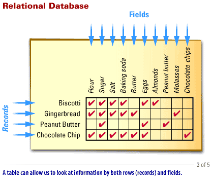 3) Relational Database 2: A table can allow us to look at information by both rows (records) and fields.